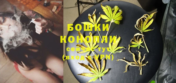mdpv Белокуриха