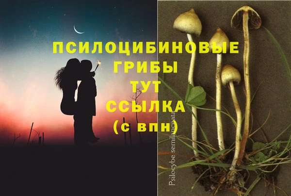 кокаин Беломорск