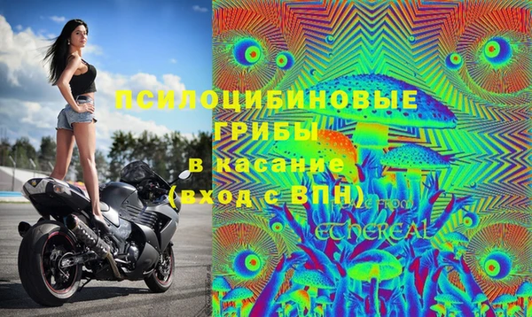 Альфа ПВП Богданович